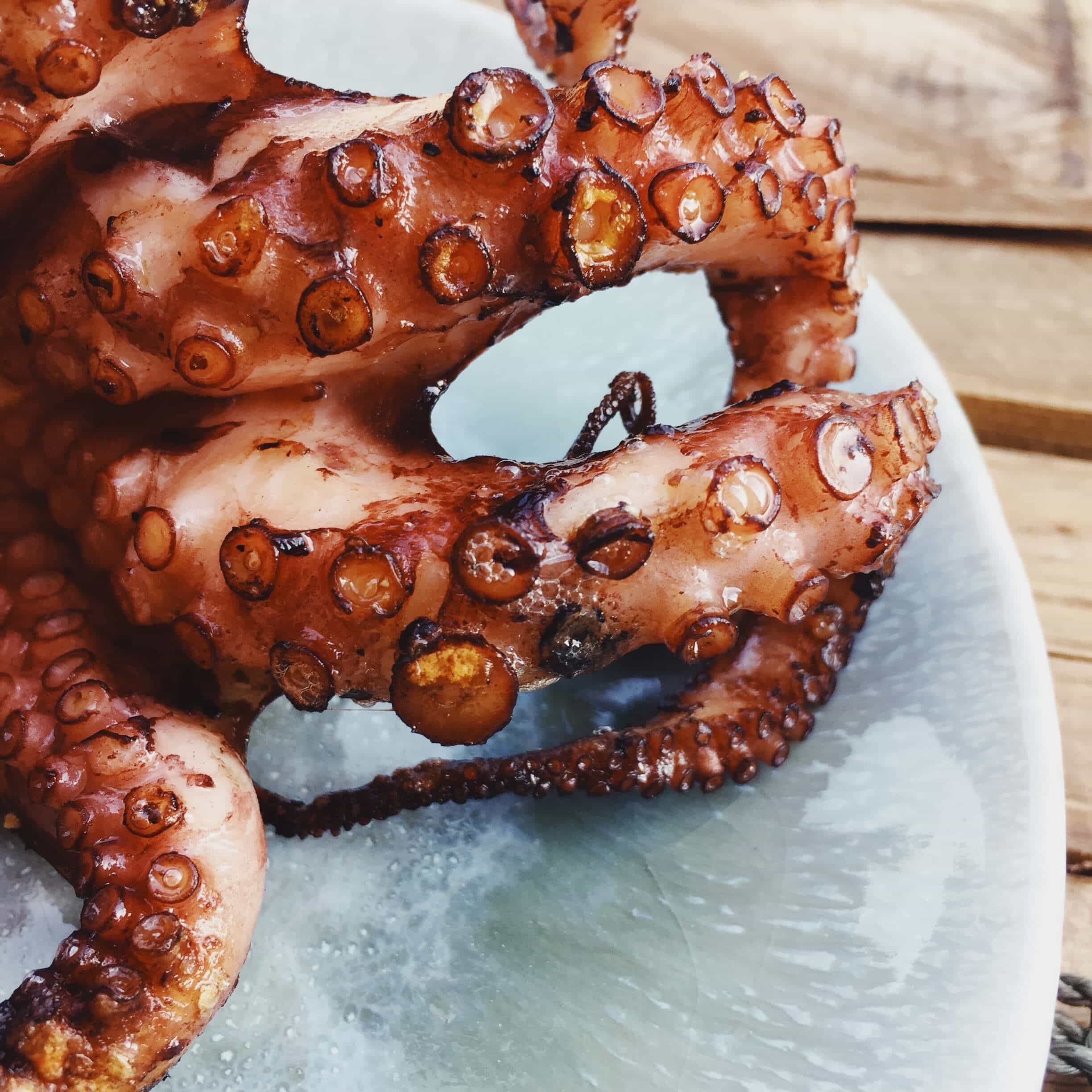 Close up of greek grilled octopus tentacles on a blue plate.