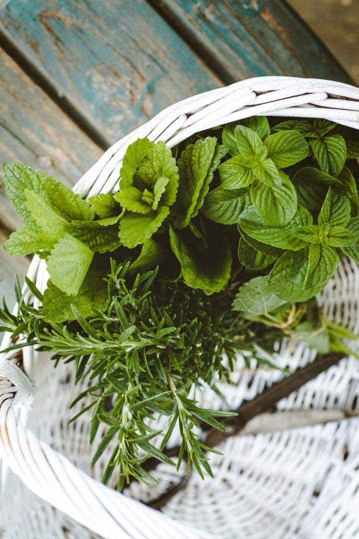8 Ways To Preserve Fresh Herbs