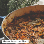 pot of moose ragu or sauce or stew
