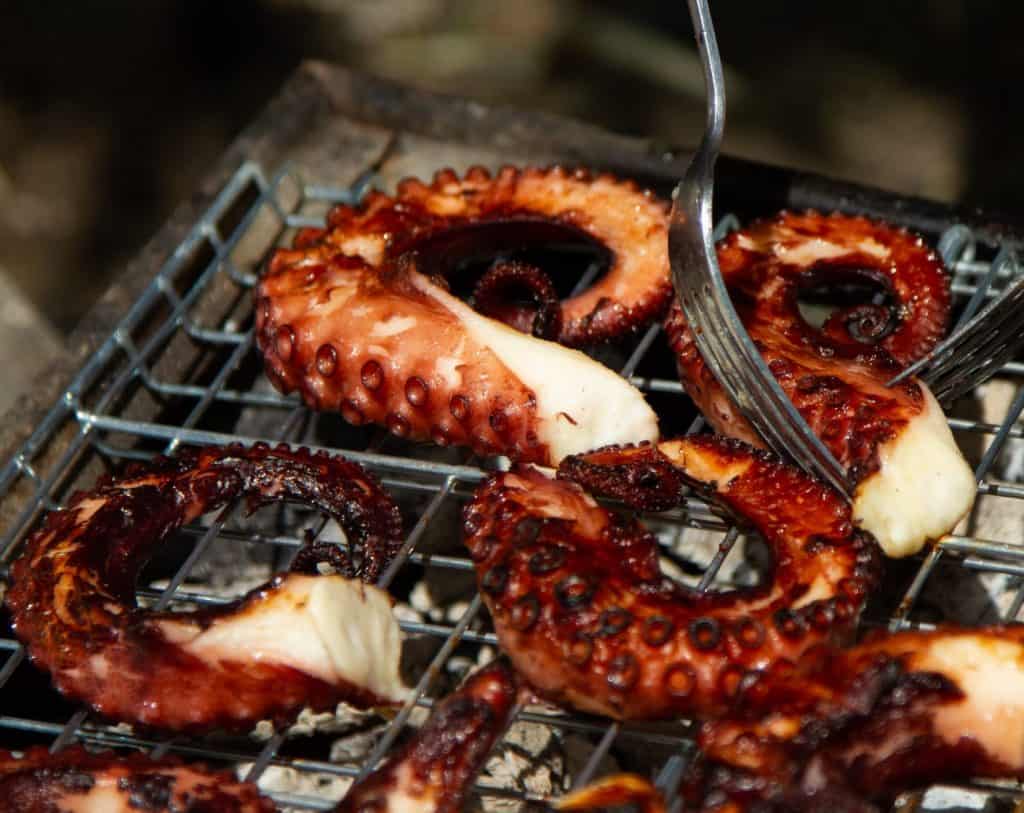 octopus on a grill