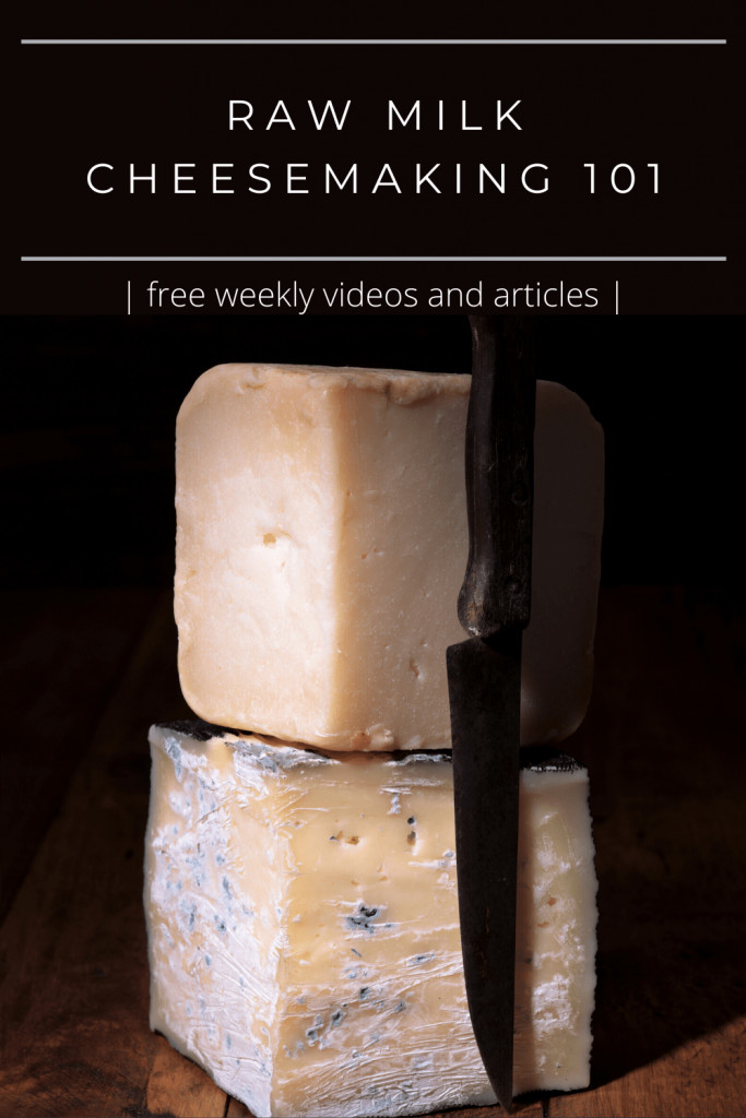 raw milk cheese on cutting board with knife