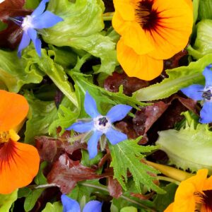 Nasturtium salad of leaves and flowers with mixed greens and a creamy dressing.