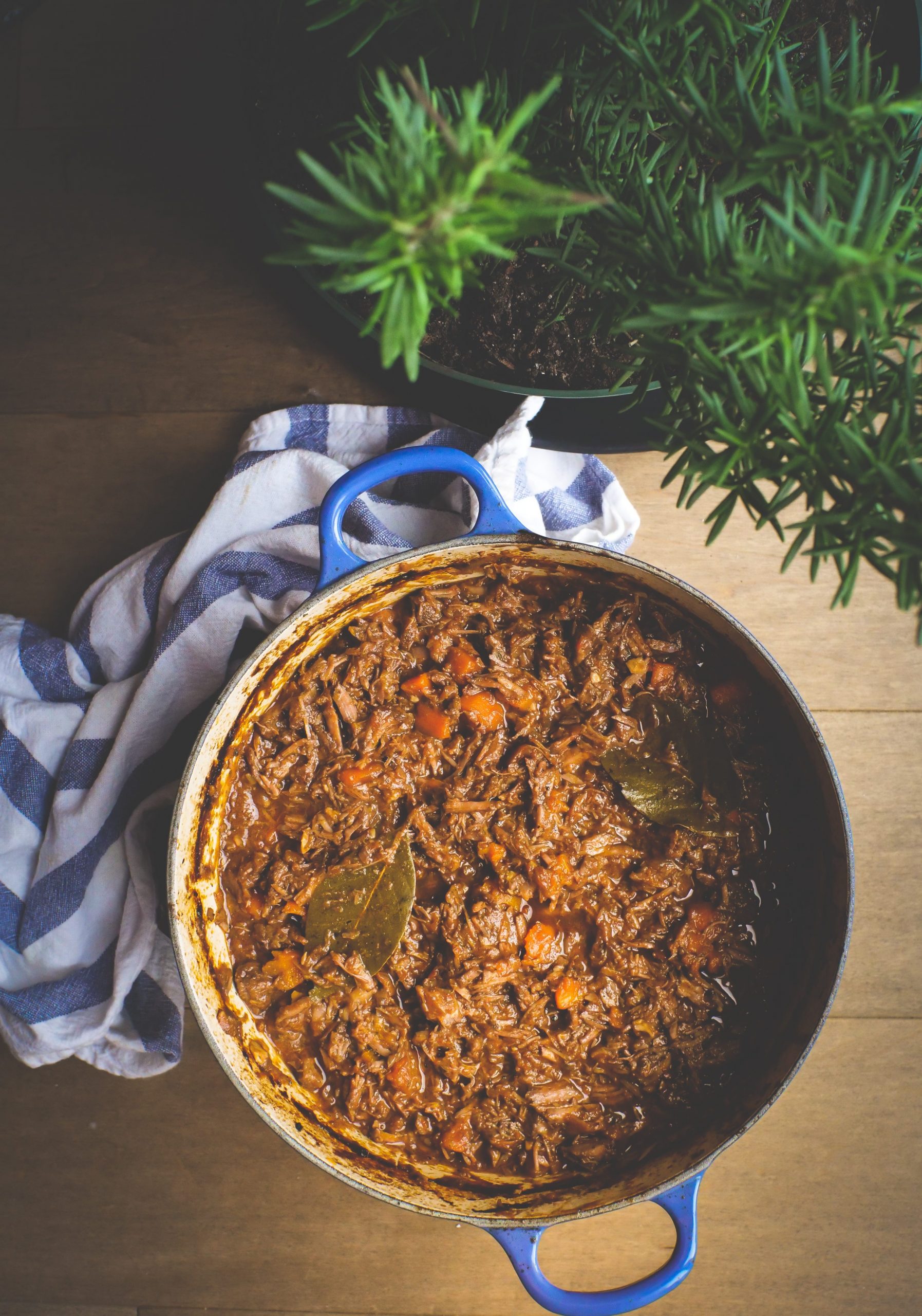 moose shoulder ragu in a pot