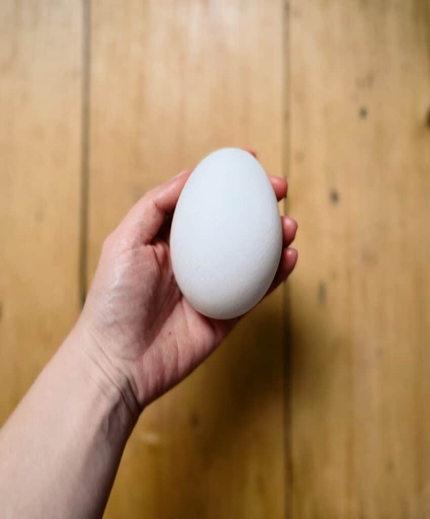 A hand holds a giant white freshly laid and unwashed goose egg
