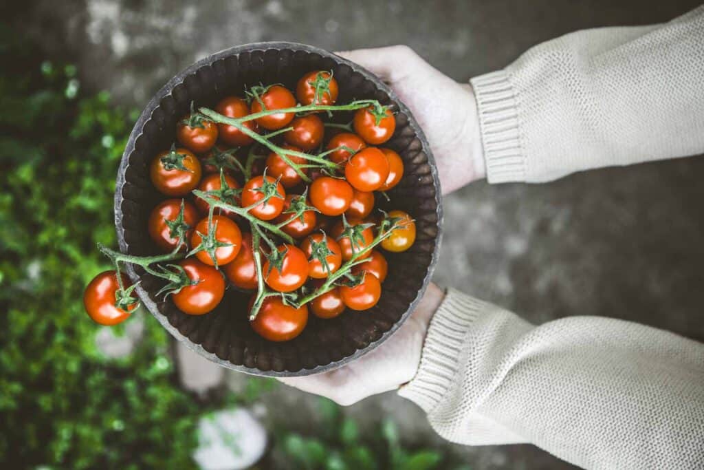 a woman's hands holding a bowl of red cherry tomatoes