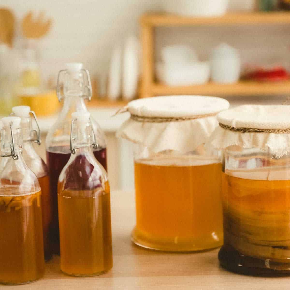 How Long Does Kombucha Last
