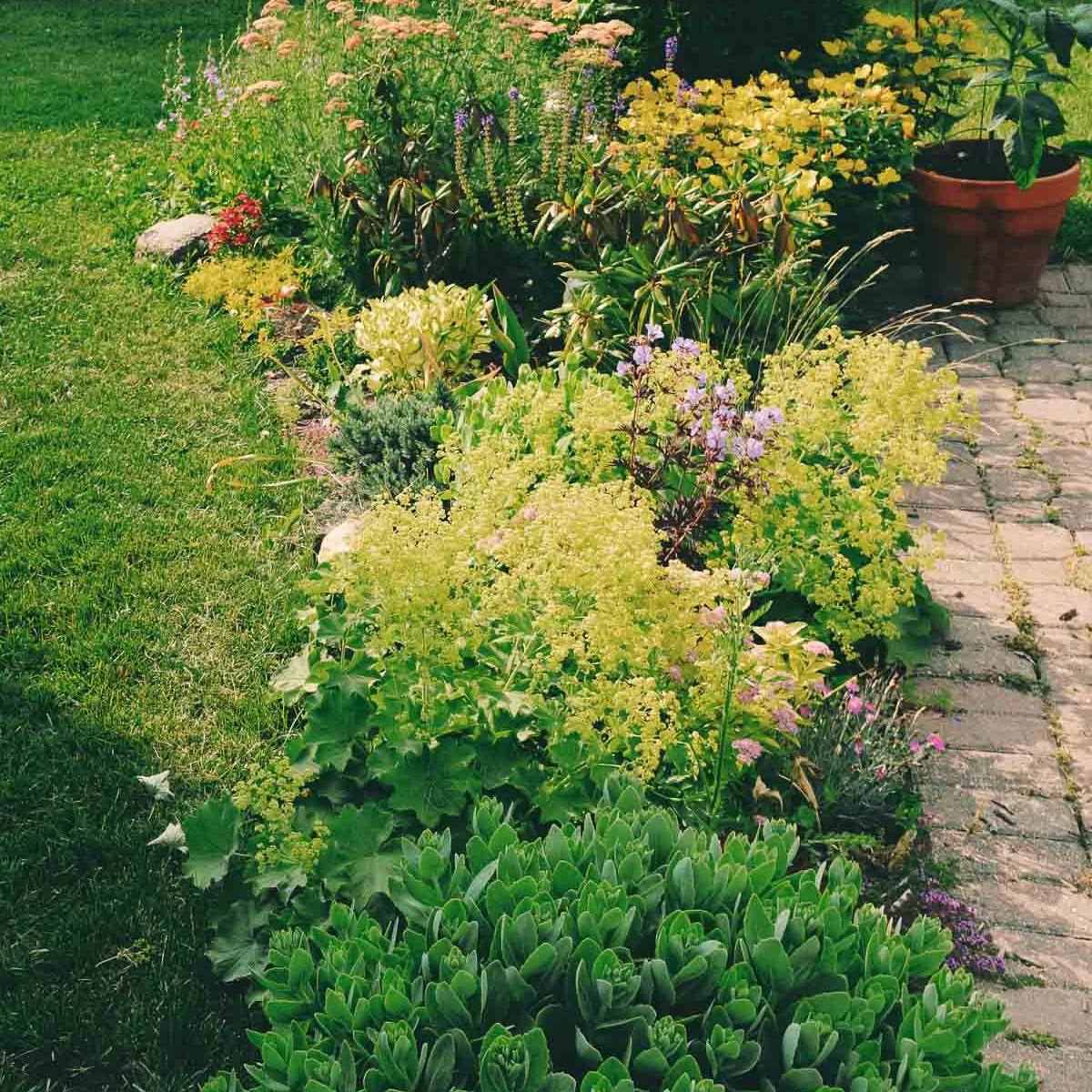 How To Lay Mulch Over Grass {StepbyStep Guide} The Peasant's Daughter