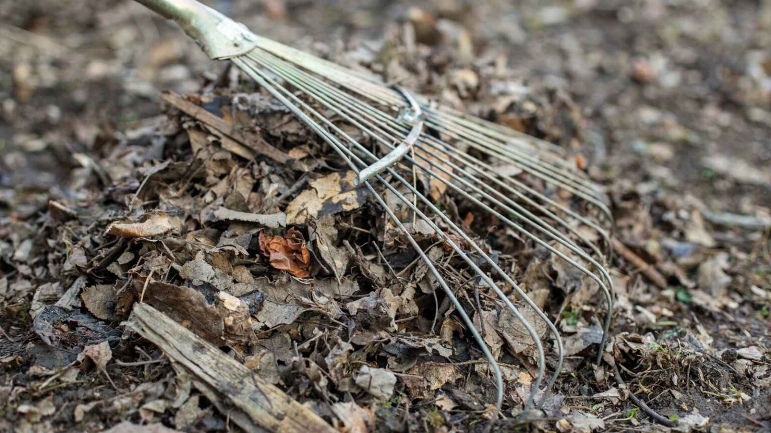 7 Methods To Shred Leaves For Mulch, Compost or Leaf Mold