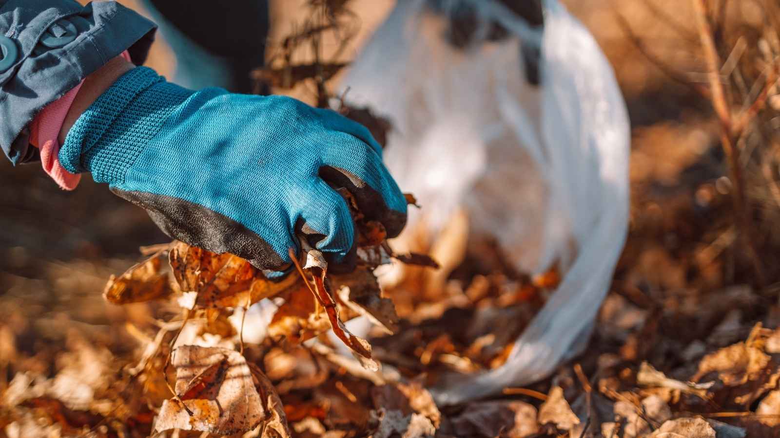 A gloved hand picks up leaves from the ground.