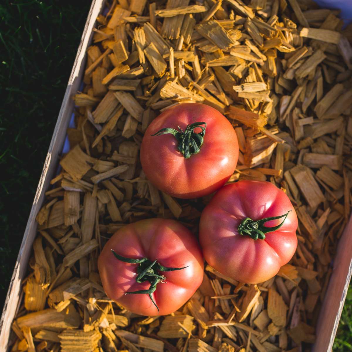 13 Benefits Of Wood Mulch In Your Garden {Wood Chips Vs Mulch}