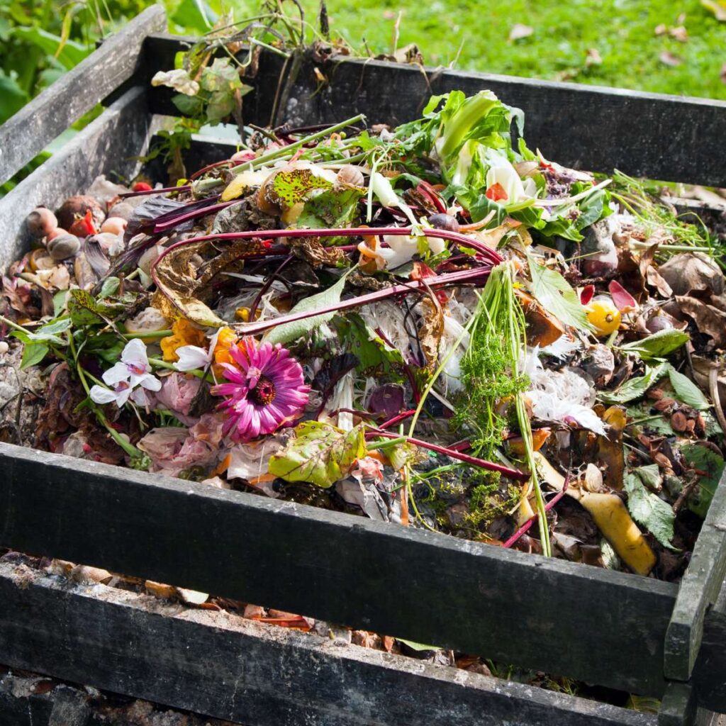 Why You Need to Add Compost to Your Garden Beds in the Autumn - The ...
