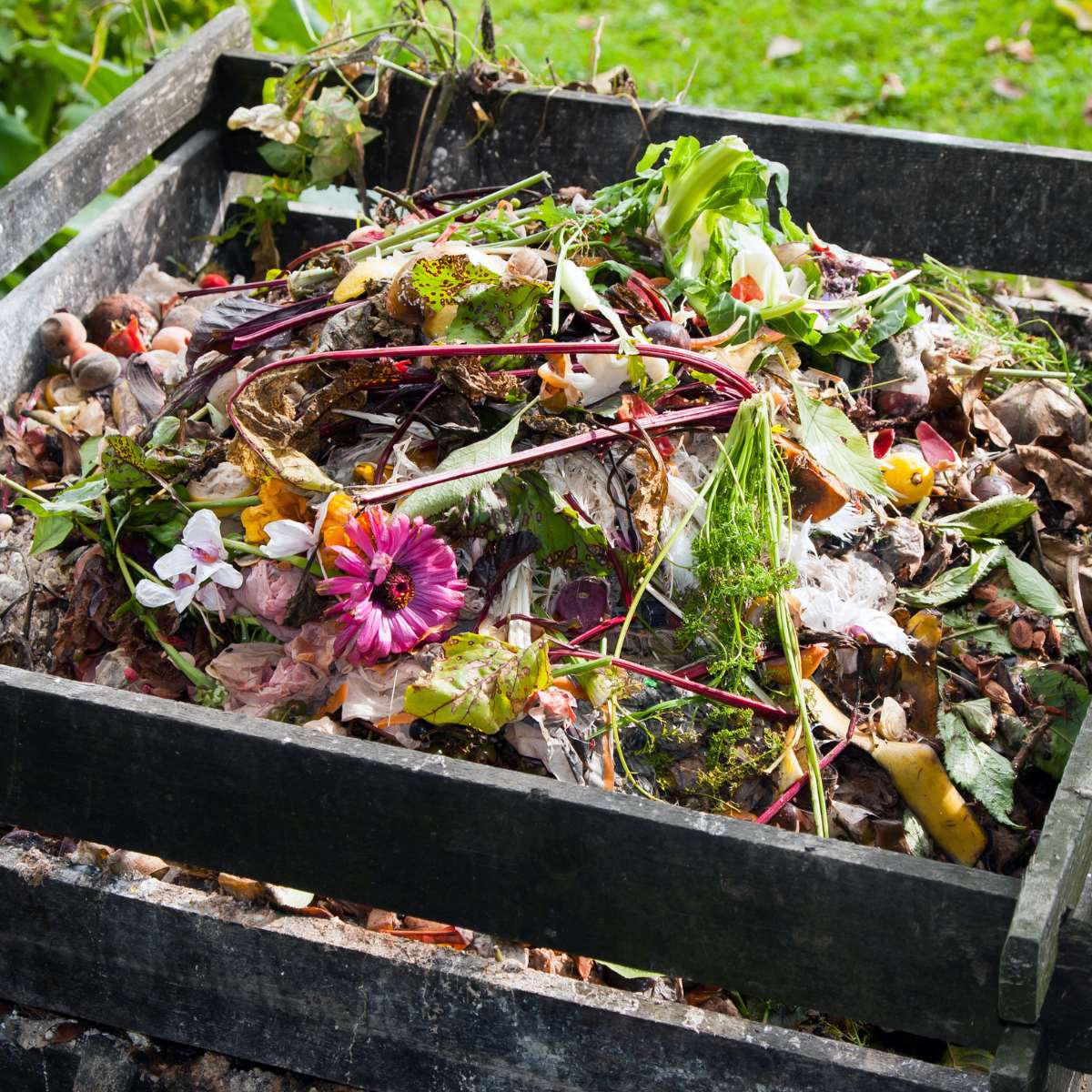 A pallet-bin used for garden compost.