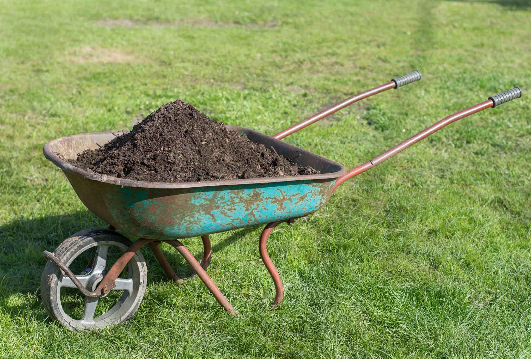A wheelbarrow full of compost on a green lawn.