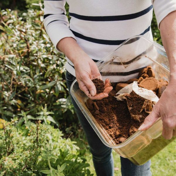 The BEST Compost For Raised Beds & How To Use It Properly