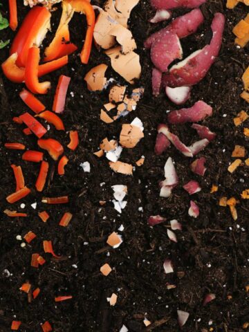A decorative image showing food gradually turning into compost in soil.
