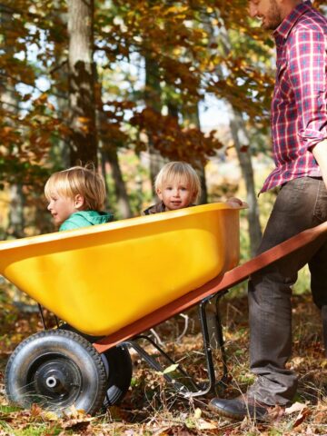 Father with two sons in garden with wheelbarrow.
