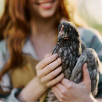 A brown-haired girl is smiling and holding a blue chicken.