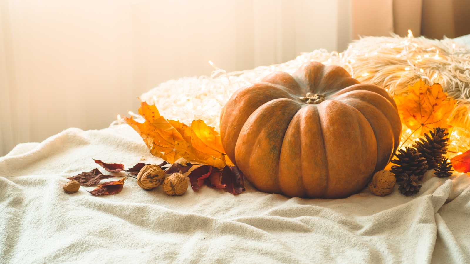 Pumpkins.