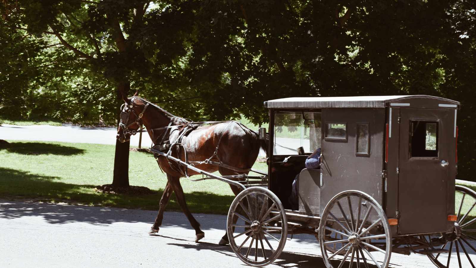 A black Amish horse and buggy travels down a road.