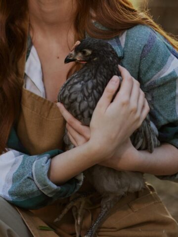 Girl holding blue chicken.