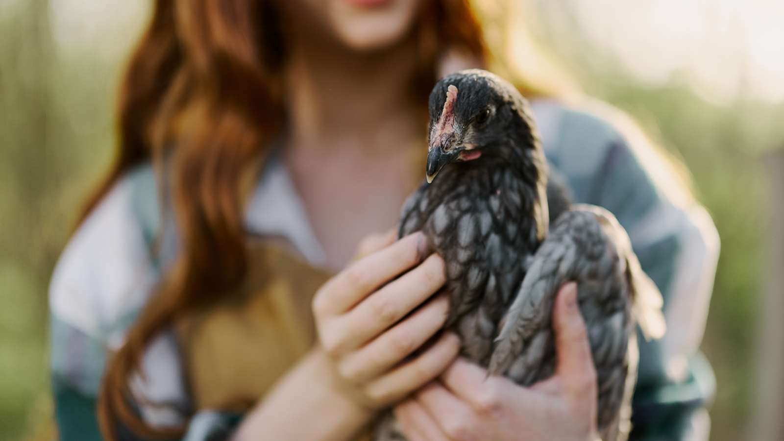 Woman holding chicken.