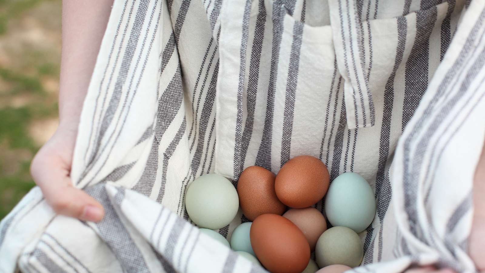Apron full of colorful eggs.