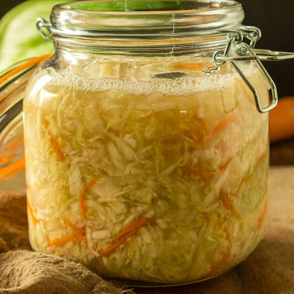 A large jar full of homemade fermented green cabbage sauerkraut.