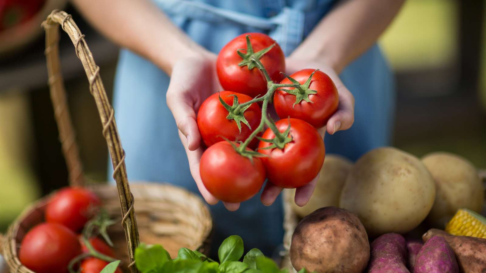 Tomatoes.