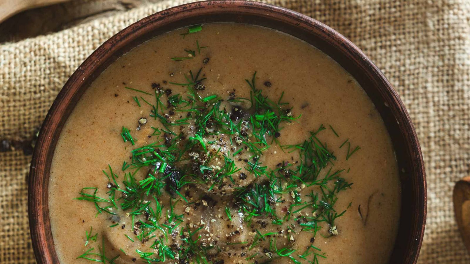 A big bowl of creamy Hungarian mushroom soup with mushrooms and fresh dill.