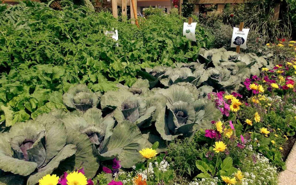 The 12 Essential Steps to Self-Sufficiency in the Garden - The Peasant ...