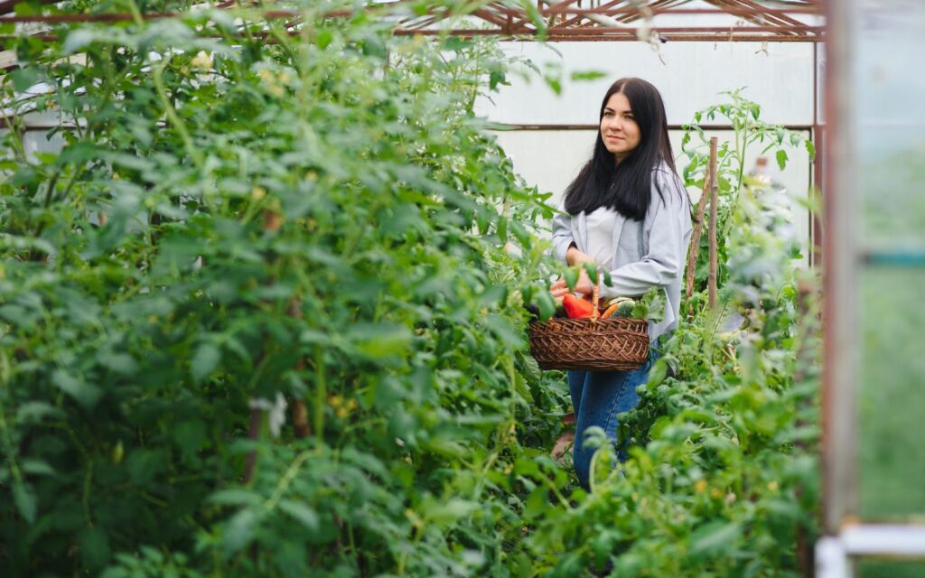 View of The 12 Essential Steps to Self-Sufficiency in the Garden - The Peasant ...