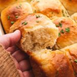 Sourdough slider buns baked in a tray.