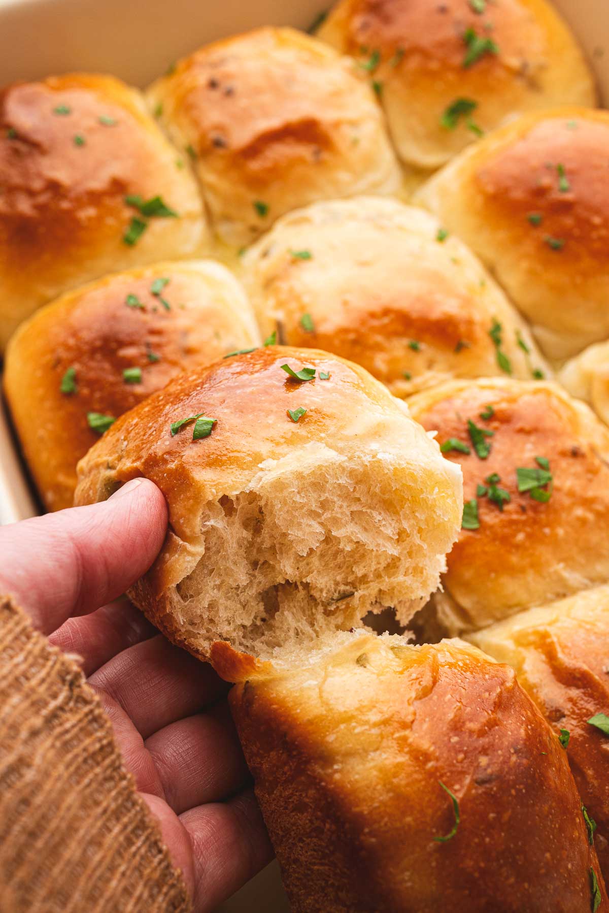 Sourdough slider buns baked in a tray.